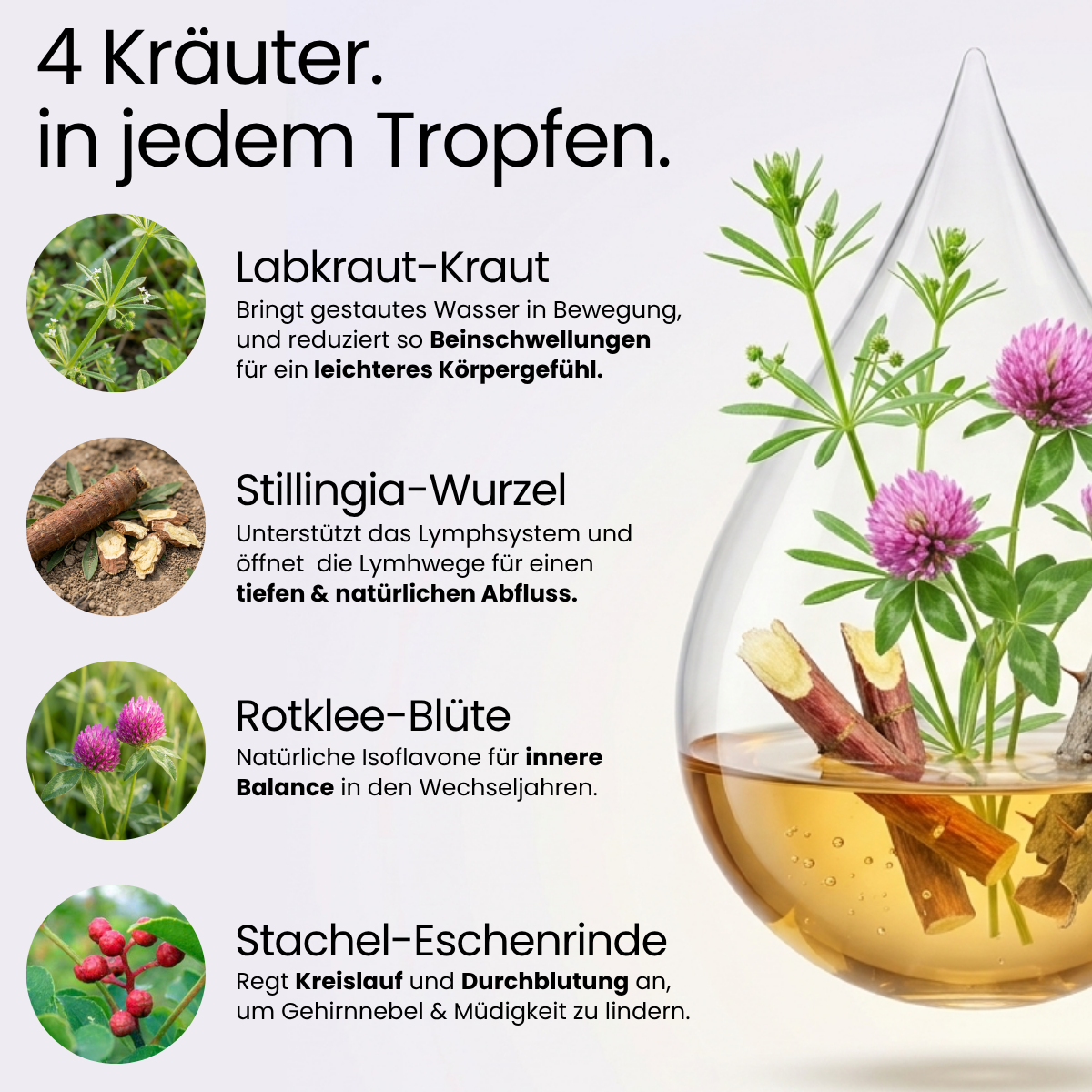 COREEX Leichtgefühl™ Pflanzliche Kräutertropfen