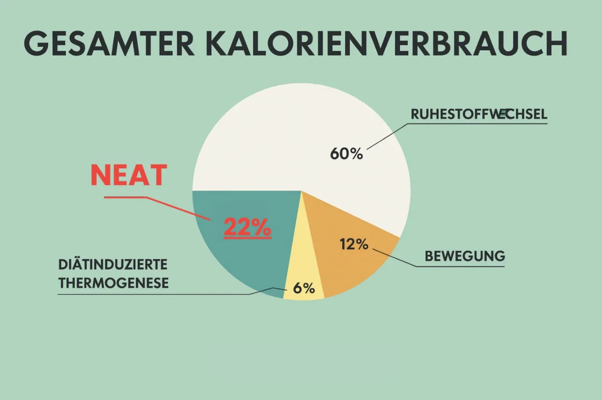 Illustration: Warum verbrennt der Körper weniger Kalorien, obwohl man sich bewegt?